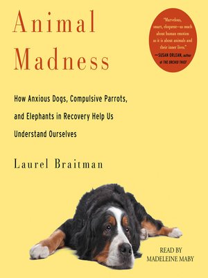 cover image of Animal Madness